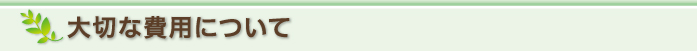大切な費用について