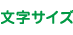 文字サイズ